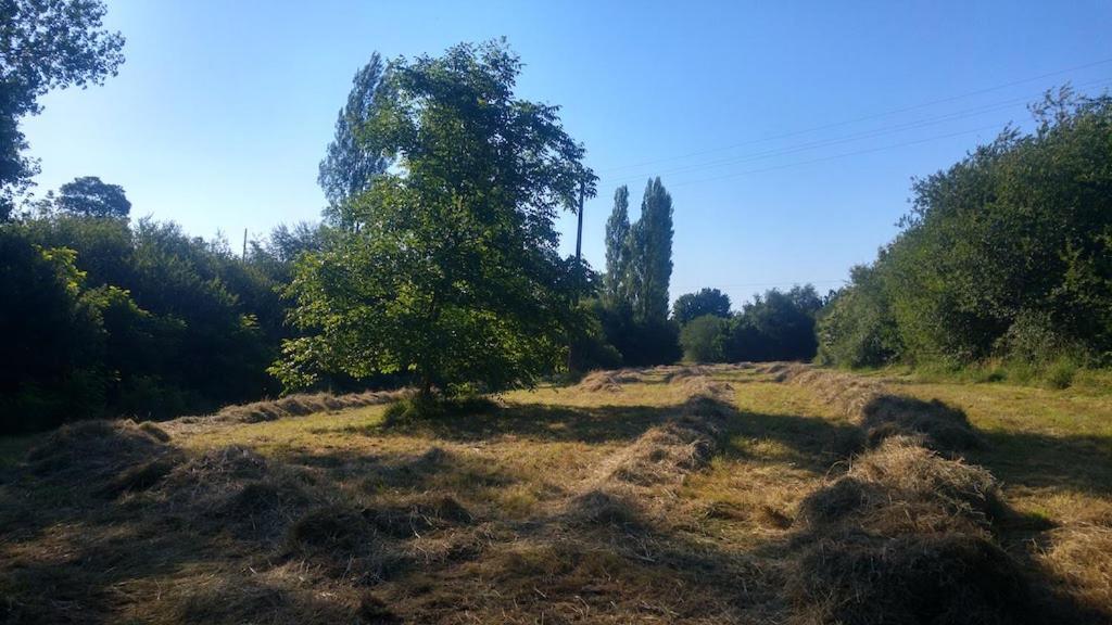 L'angeberdiere Country house Saint-Mars-sur-la-Futaie